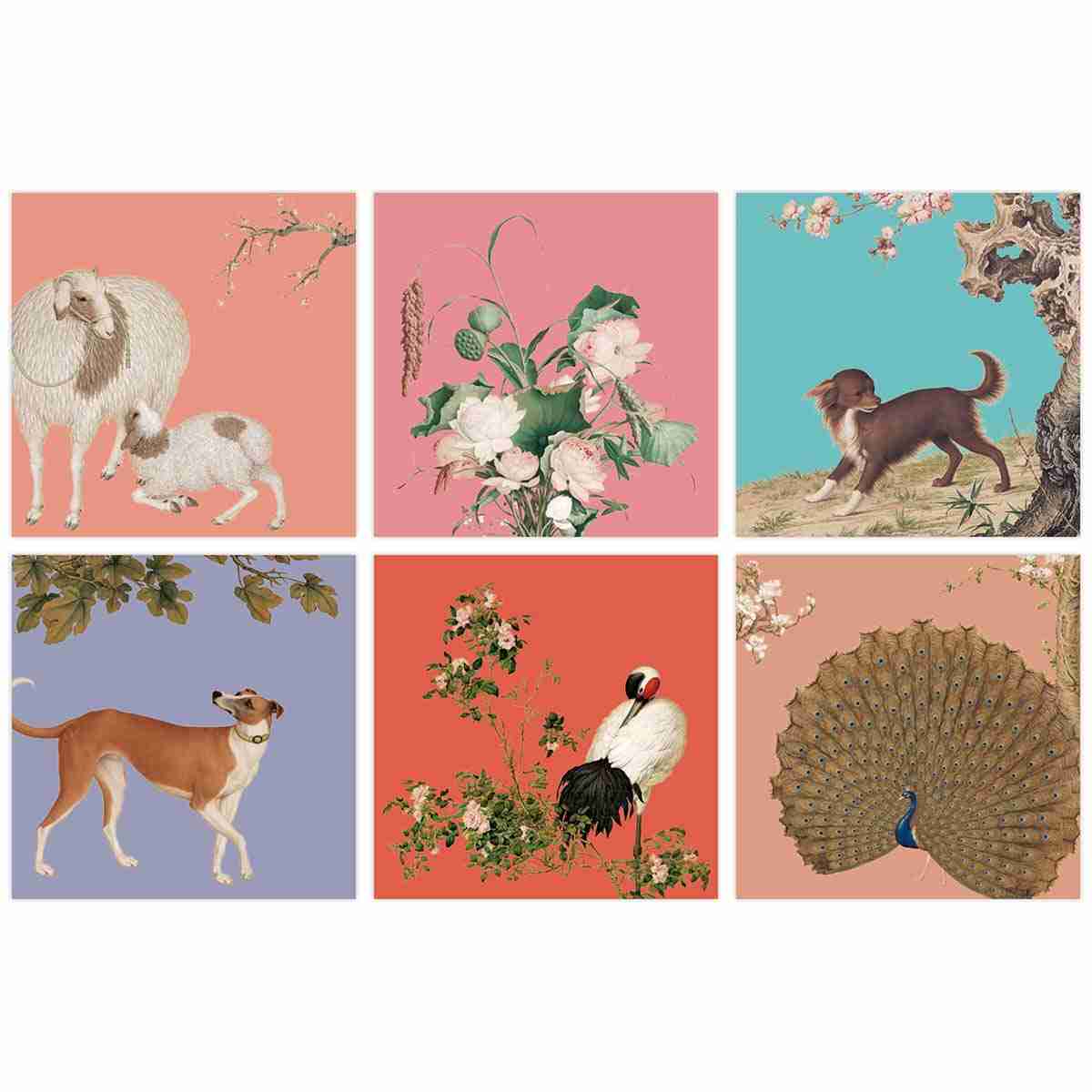 故宮精品網路商城 郎世寧系列 組合萬用卡 組合6入