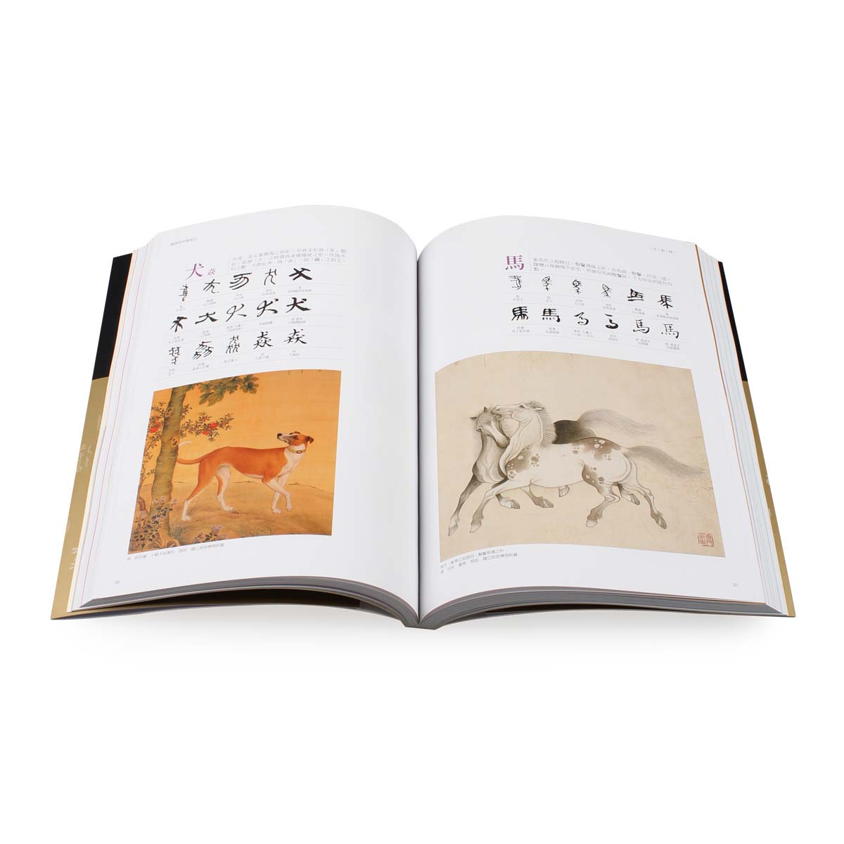 故宮精品網路商城- 趣味的甲骨金文(平裝)