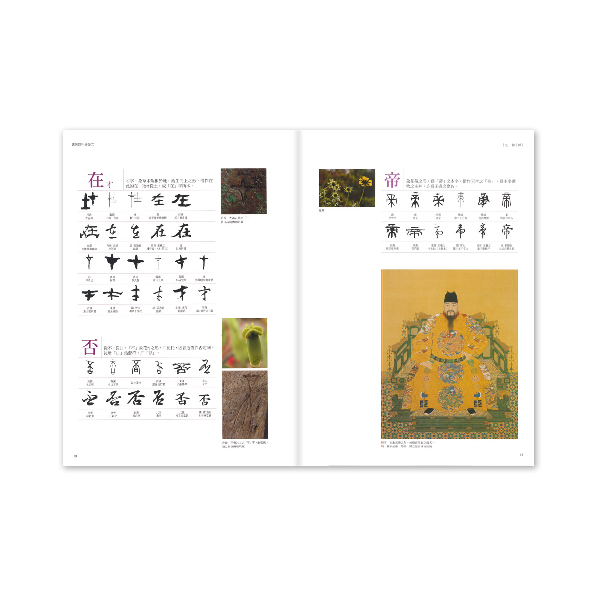 故宮精品網路商城- 趣味的甲骨金文(平裝)
