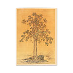 Product info: 瑞樹 筆記本