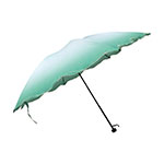 Product info: 翠玉小白菜 晴雨傘