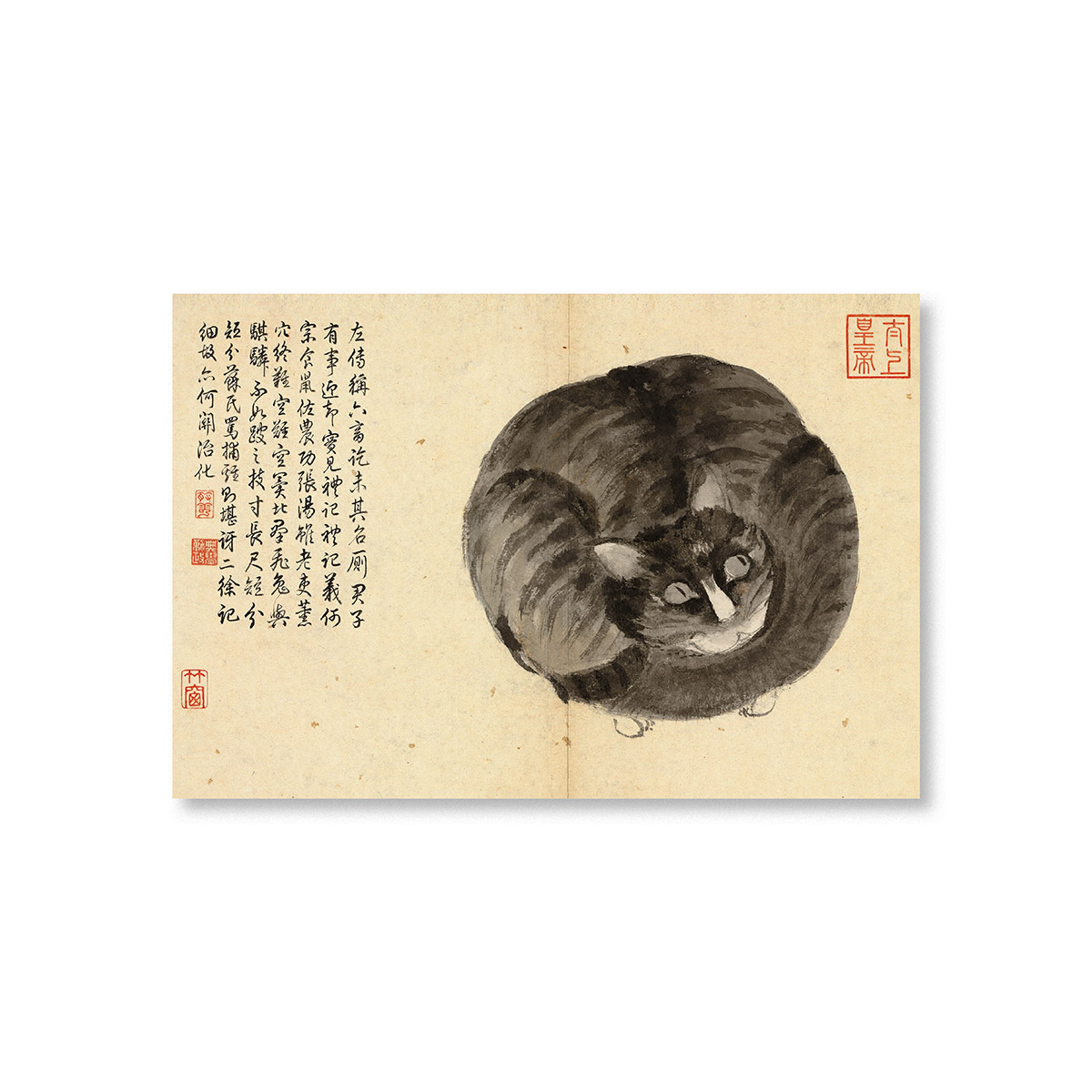 故宮精品網路商城- 明沈周寫生冊貓明信片