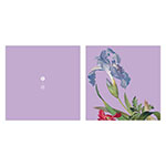 Product info: 仙萼長春·虞美人蝴蝶花 萬用卡
