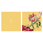 Product info: 仙萼長春·雞冠花 萬用卡