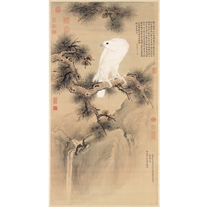 複製 畫心 清 郎世寧 《祿》白鶻圖(S)