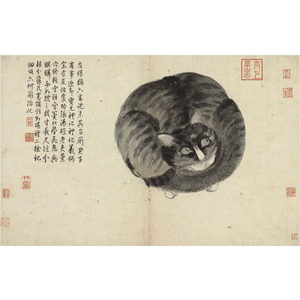 複製 畫心 明 沈周 寫生冊貓