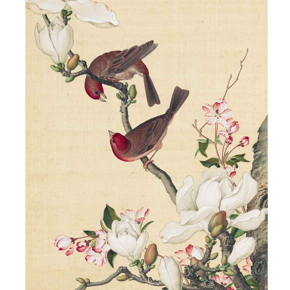 故宮精品網路商城- 複製畫心郎世寧畫仙萼長春海棠玉蘭 故宮精品網路商城- 複製畫心郎世寧畫仙萼長春海棠玉蘭