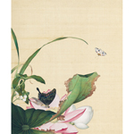 Product info: 複製 畫心 郎世寧畫仙萼長春荷花慈姑