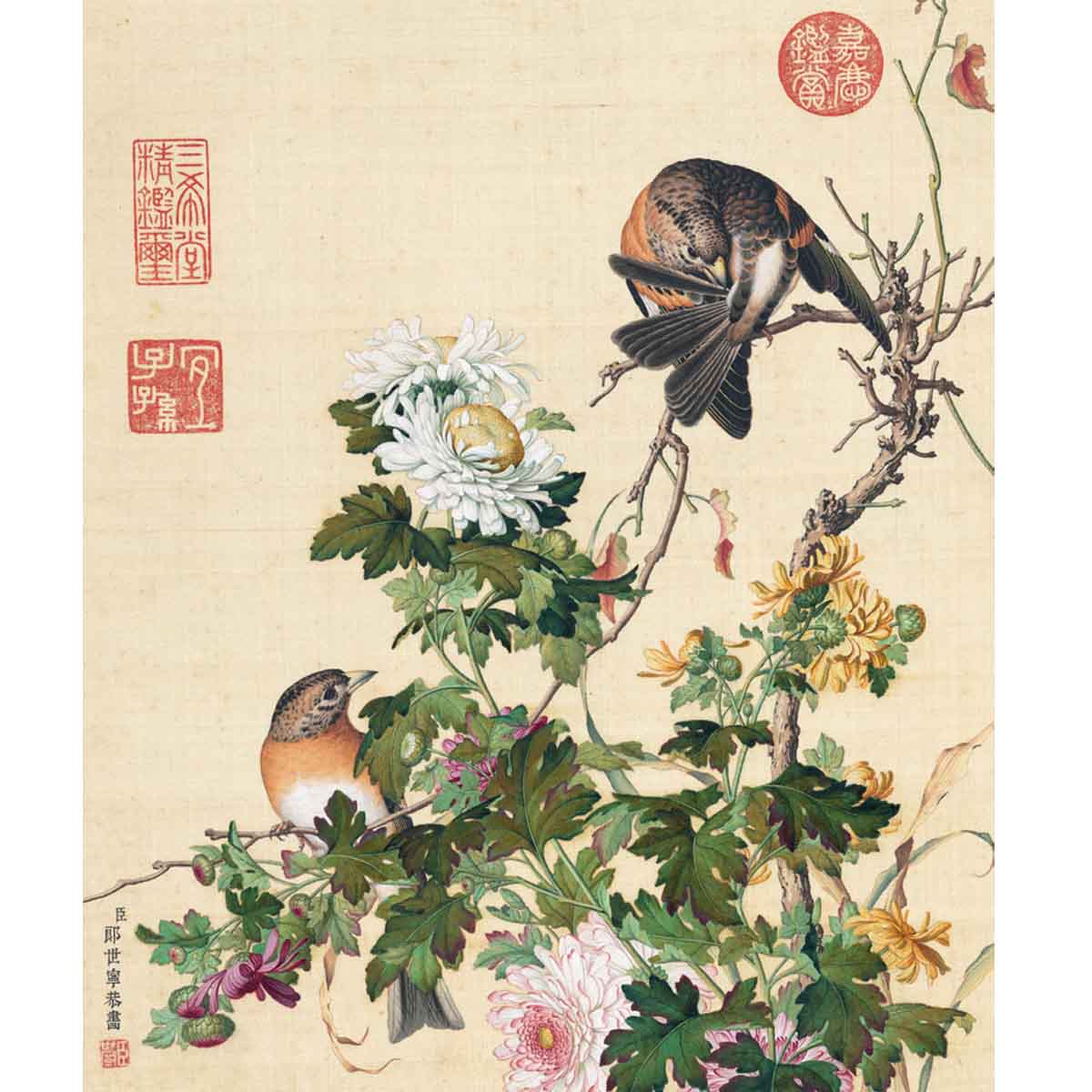 故宮精品網路商城- 複製畫心郎世寧畫仙萼長春菊花