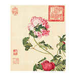 Product info: 複製 畫心 清 郎世寧 畫仙萼長春牡丹