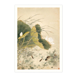 Product info: B4小畫片-清 沈煥 蓮塘魚戲