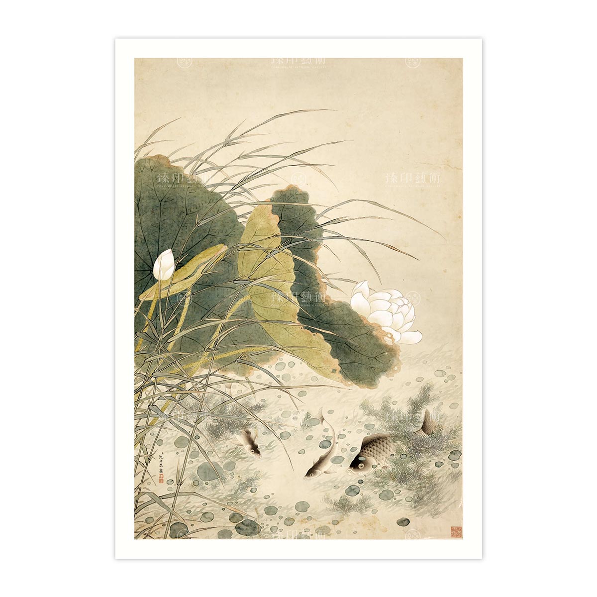 故宮精品網路商城- B4小畫片-清沈煥蓮塘魚戲