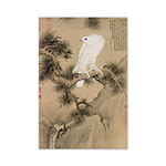故宮精品網路商城- 畫心＿清郎世寧白鶻圖軸