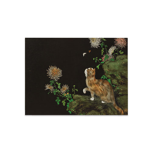 明信片-畫耄耋同春 菊花貍奴