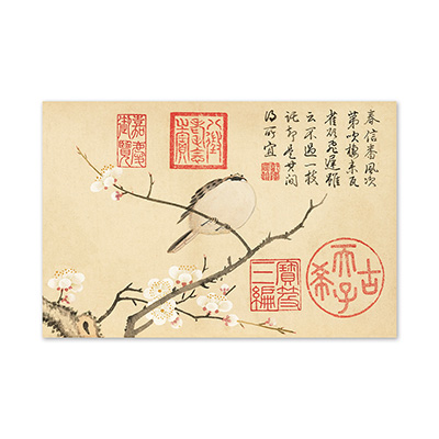 明信片：鄒一桂　梅花麻雀