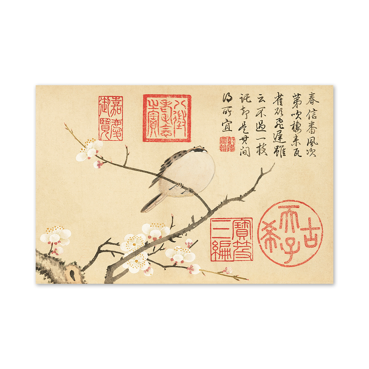 勝部大逸 大逸　紅梅雀　掛軸 故宮精品網路商城- 明信片：鄒一桂梅花麻雀