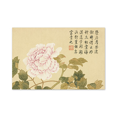明信片：錢維城 畫四氣含和上冊　冊　牡丹