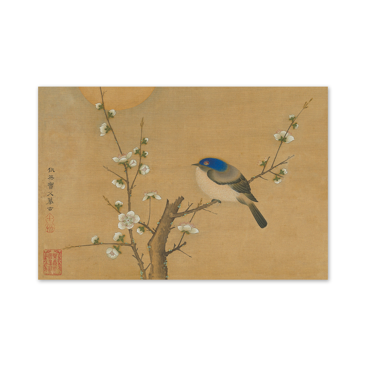 故宮精品網路商城- 明信片：仇英花鳥冊梅雀