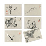 Product info: 明信片套組：朱耷寫生冊(12張)