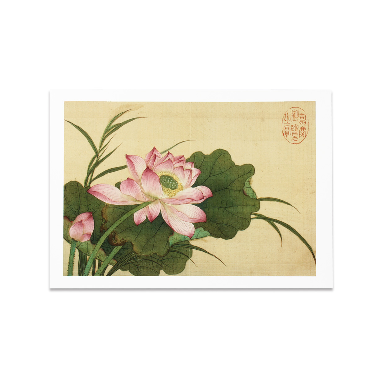 花卉图09 折后低至$8.99 Prime包邮】花卉图案可机洗地毯多款选| 剁手