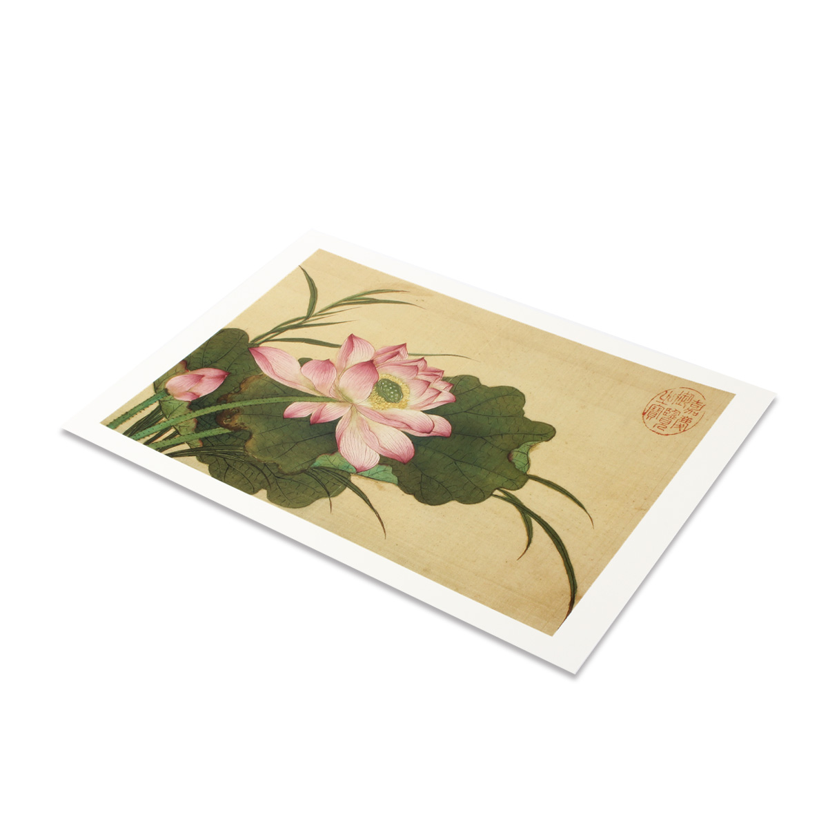 花卉畫冊 清花卉畫冊冊清惲壽平花卉- 故宮