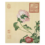 Product info: 複製 畫心-郎世寧 仙萼長春冊-牡丹