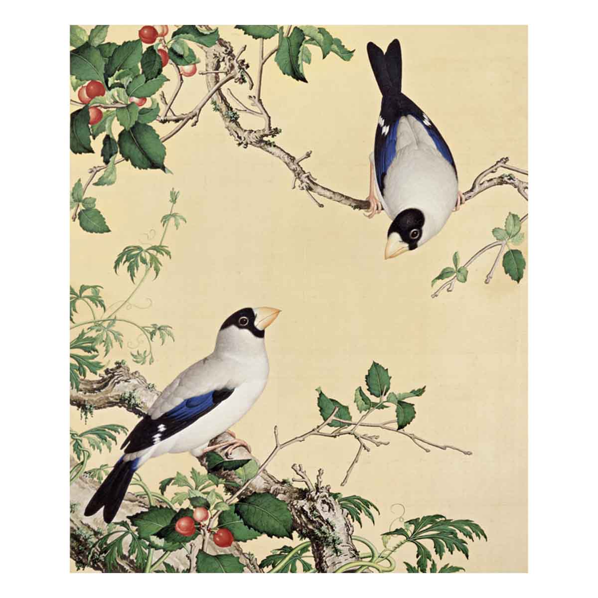 故宮精品網路商城- 複製畫心-郎世寧仙萼長春冊-櫻桃