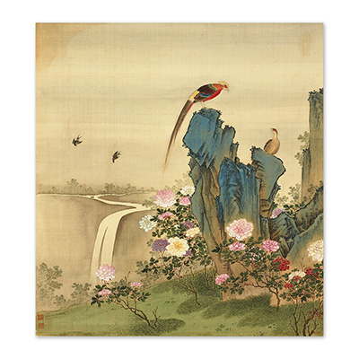 畫心:清戴洪畫齡壽萬年冊 牡丹錦雞