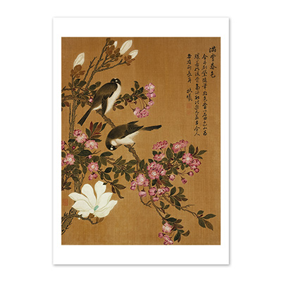圖卡:清 馬元馭 畫花卉　冊　海棠辛夷