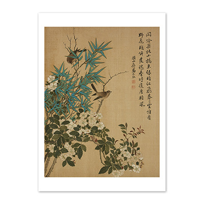 圖卡:清 馬元馭 畫花卉　冊　月季竹鳥