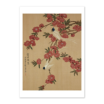 圖卡:清 馬元馭 畫花卉　冊　碧桃壽帶