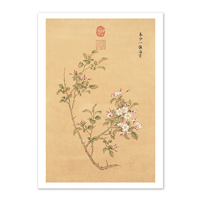 圖卡:清 余省 畫墨妙珠林（子）　冊　春分一候海棠　
