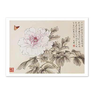圖卡:民國 于非闇 花蝶　單片