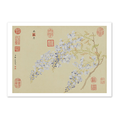 圖卡:清 鄒一桂 畫藤花　軸