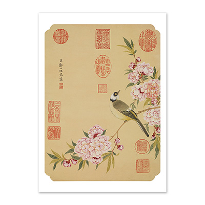 圖卡:清 鄒一桂 碧桃春鳥　軸