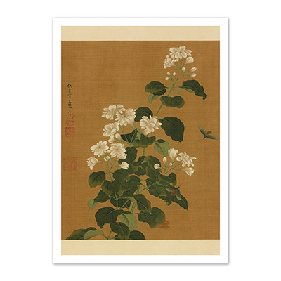 圖卡:宋元名人花鳥合璧　冊　明仇英花卉草蟲
