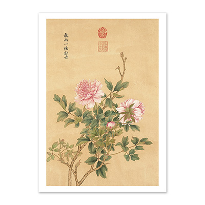 圖卡:清 余省 畫墨妙珠林（子）　冊　穀雨一候牡丹
