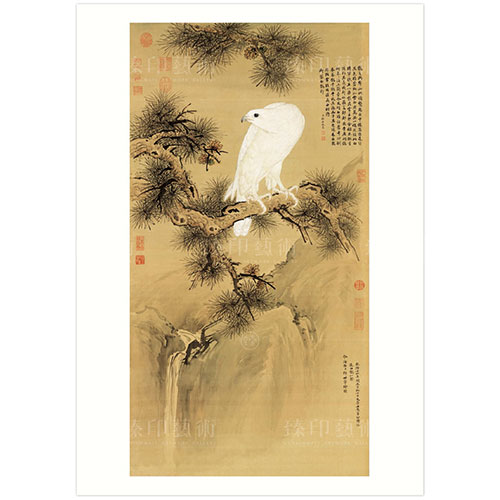 故宮精品網路商城- B4小畫片-清郎世寧白鶻圖