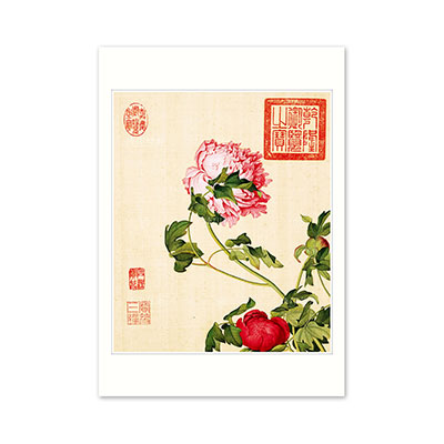 故宮精品網路商城- B4小畫片-清郎世寧仙萼長春牡丹