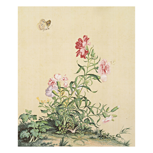 仙萼長春 清朝郎世寧恭畫 故宮精品網路商城- 複製畫心-郎世寧仙萼長春冊-紫白丁香