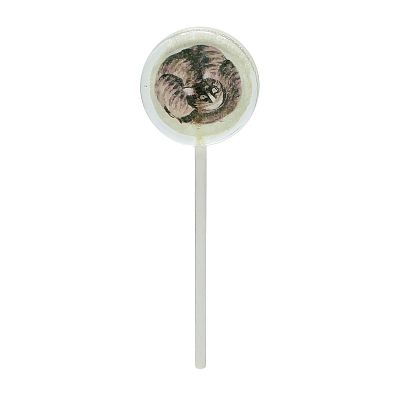 Product info: 寫生貓棒棒糖