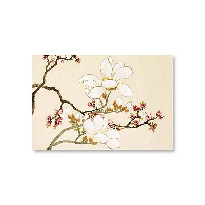 Product info: 明信片 十二月花神 杏花辛夷