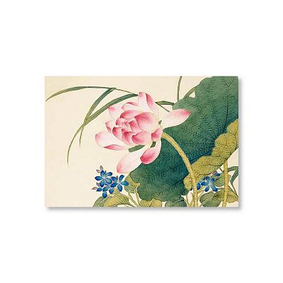 Product info: 明信片 十二月花神 蓮花