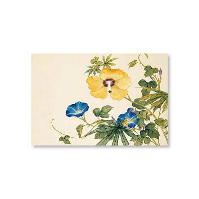 Product info: 明信片 十二月花神 秋葵牽牛花