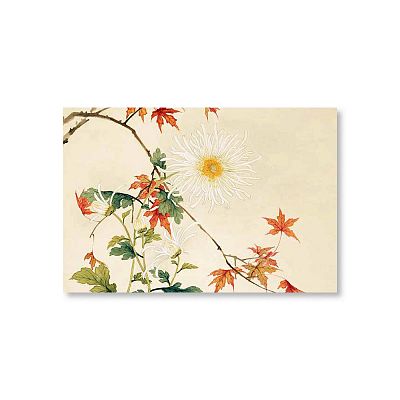 Product info: 明信片 十二月花神 菊花楓樹