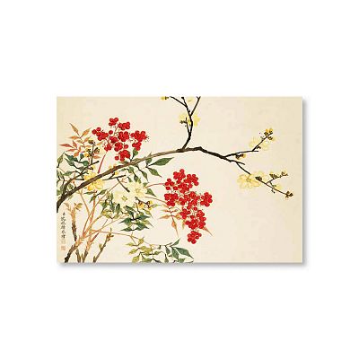 Product info: 明信片 十二月花神 臘梅南天竺