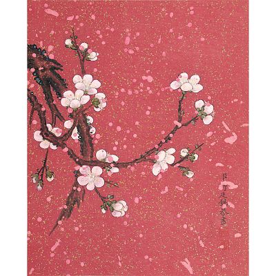 Product info: 冊頁 清 蔣廷錫 晝群芳擷秀 梅花
