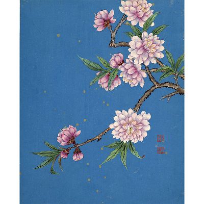 Product info: 冊頁 清 蔣廷錫 晝群芳擷秀 碧桃