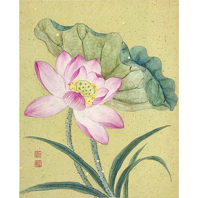 Product info: 冊頁 清 蔣廷錫 晝群芳擷秀 荷花