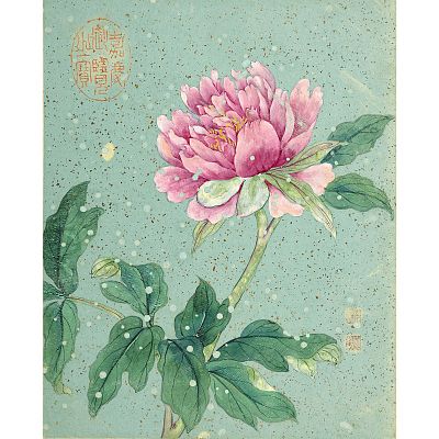 Product info: 冊頁 清 蔣廷錫 晝群芳擷秀 牡丹